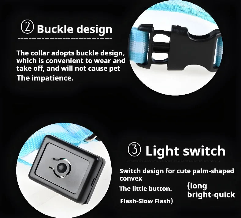 Dog Collar LED Night Safety