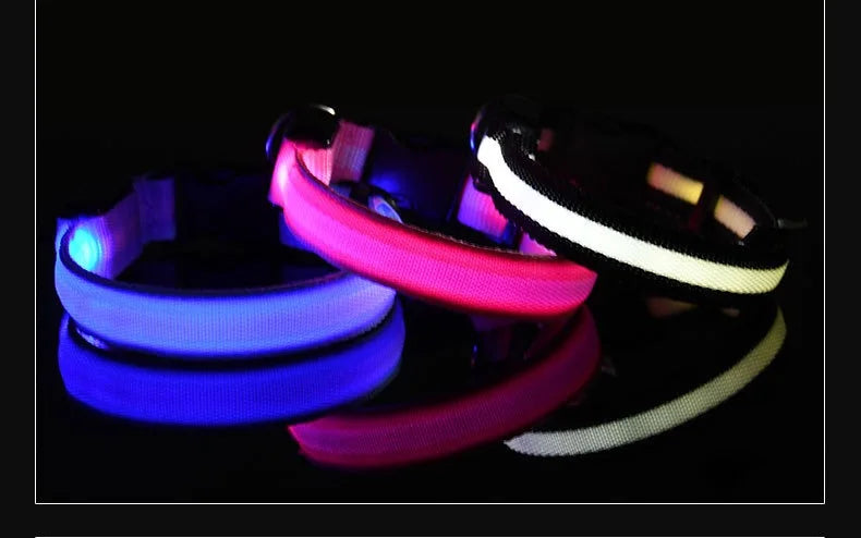 Dog Collar LED Night Safety