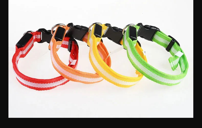 Dog Collar LED Night Safety