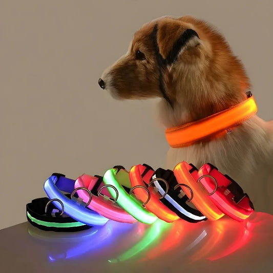 Dog Collar LED Night Safety